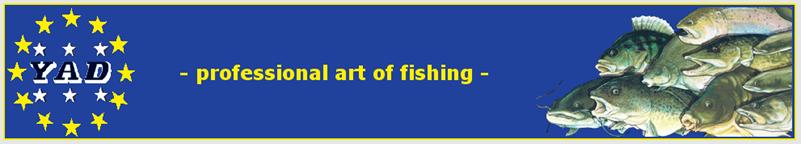 YAD Banner 2008.png